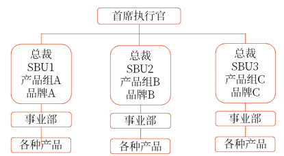 戰(zhàn)略業(yè)務(wù)單位組織結(jié)構(gòu)（SBU）
