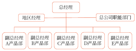 全球性產(chǎn)品分部結(jié)構(gòu)