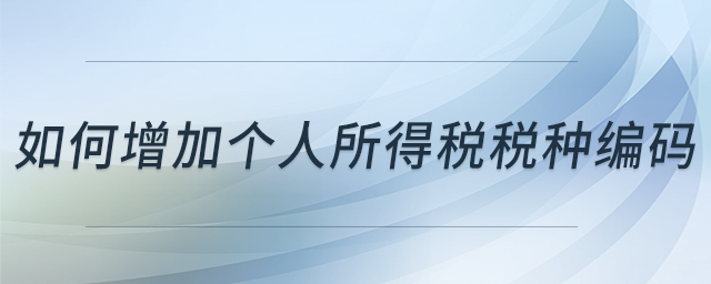 如何增加個(gè)人所得稅稅種編碼