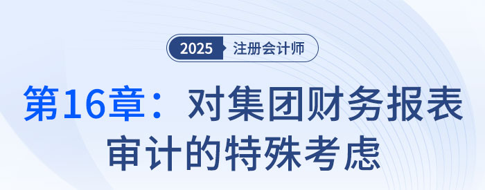 第十六章對集團財務(wù)報表審計的特殊考慮_2025年注會審計習題隨章演練