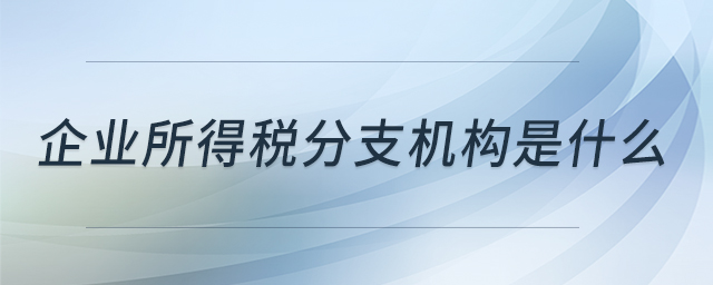 企業(yè)所得稅分支機構(gòu)是什么