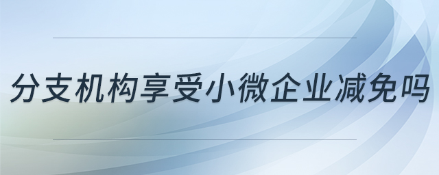 分支機(jī)構(gòu)享受小微企業(yè)減免嗎