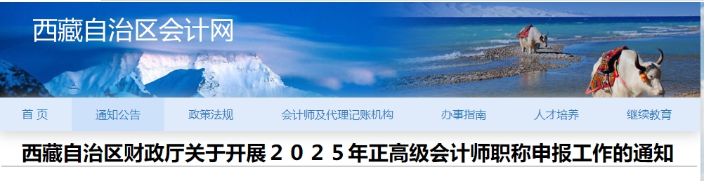 西藏2025年正高級(jí)會(huì)計(jì)師資格評(píng)審申報(bào)工作的通知