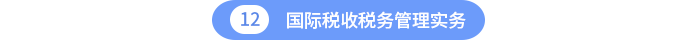 國際稅收稅務管理實務