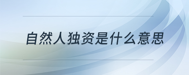 自然人獨資是什么意思