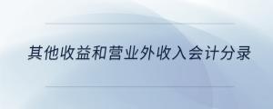 其他收益和營(yíng)業(yè)外收入會(huì)計(jì)分錄