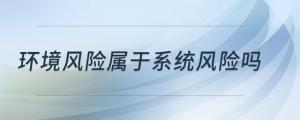 環(huán)境風險屬于系統(tǒng)風險嗎