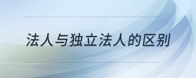 法人與獨立法人的區(qū)別