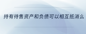 持有待售資產(chǎn)和負債可以相互抵消么
