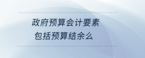 政府預(yù)算會計要素包括預(yù)算結(jié)余么