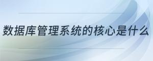 數(shù)據(jù)庫(kù)管理系統(tǒng)的核心是什么