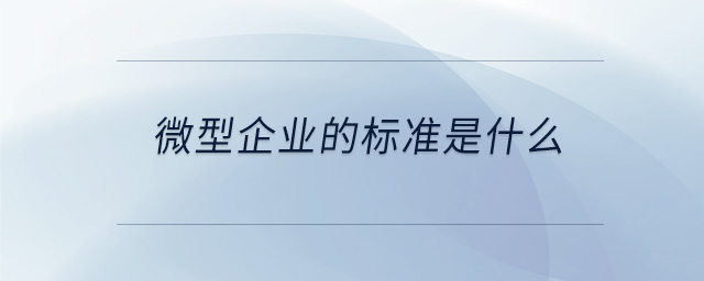 微型企業(yè)的標準是什么