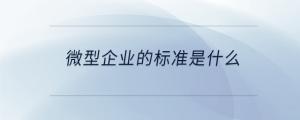 微型企業(yè)的標準是什么