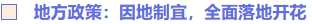 地方政策：因地制宜，全面落地開花