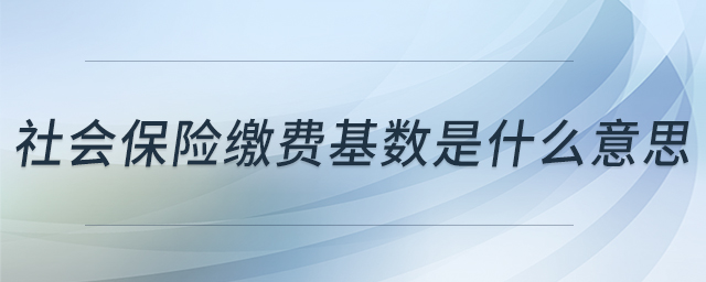 社會保險繳費基數是什么意思