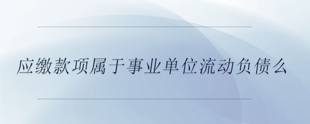 應(yīng)繳款項屬于事業(yè)單位流動負債么