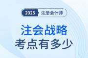 注冊會計師戰(zhàn)略考點有多少？