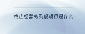 終止經(jīng)營的列報(bào)項(xiàng)目是什么