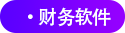 財務(wù)軟件
