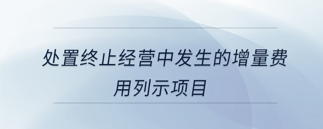 處置終止經(jīng)營中發(fā)生的增量費(fèi)用列示項(xiàng)目