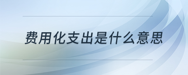 費用化支出是什么意思