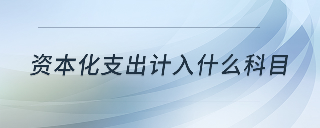 資本化支出計入什么科目
