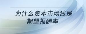 為什么資本市場線是期望報酬率