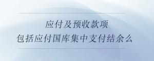 應付及預收款項包括應付國庫集中支付結余么