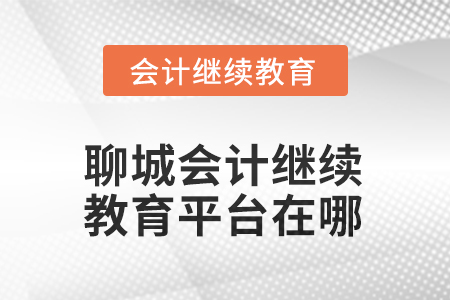 2025年度聊城會計(jì)人員繼續(xù)教育平臺在哪？