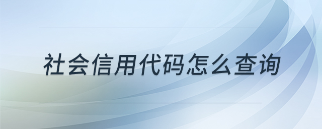 社會信用代碼怎么查詢