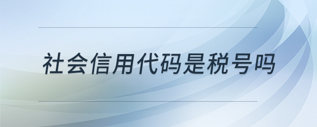 社會信用代碼是稅號嗎