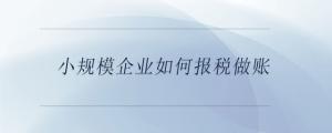 小規(guī)模企業(yè)如何報稅做賬