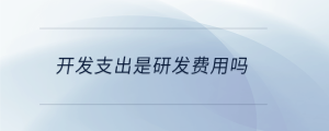 開發(fā)支出是研發(fā)費(fèi)用嗎