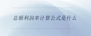 總額利潤率計算公式是什么