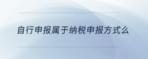 自行申報(bào)屬于納稅申報(bào)方式么