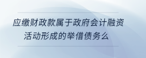 應(yīng)繳財(cái)政款屬于政府會(huì)計(jì)融資活動(dòng)形成的舉借債務(wù)么