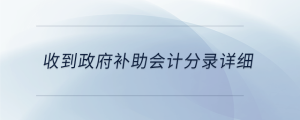 收到政府補(bǔ)助會(huì)計(jì)分錄詳細(xì)