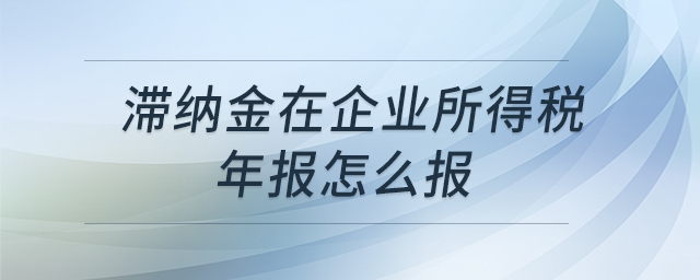 滯納金在企業(yè)所得稅年報(bào)怎么報(bào)